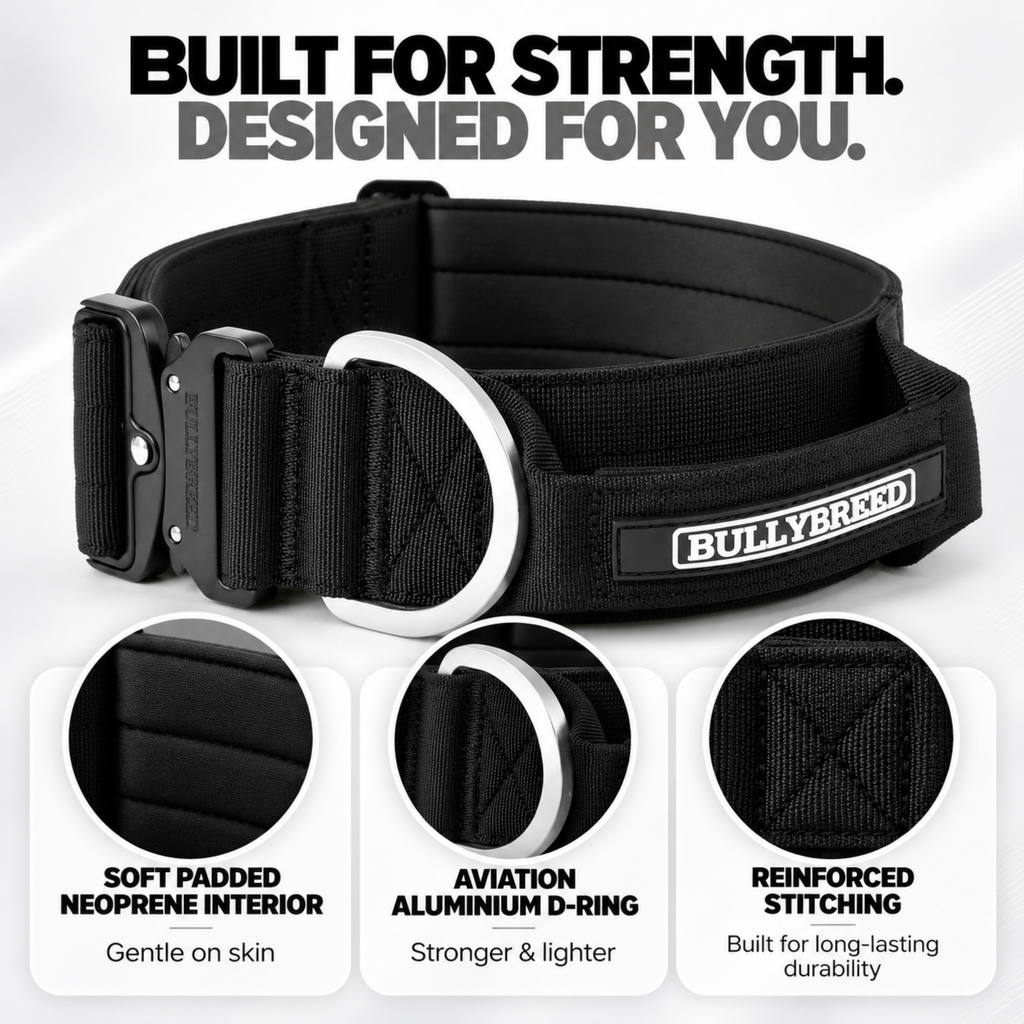 Heavy Duty Dog Collar with Handle | XL TITAN 2.7" (7 cm)