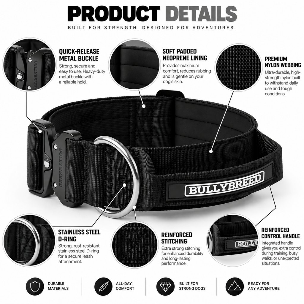 Heavy duty dog collar and double handle leash set