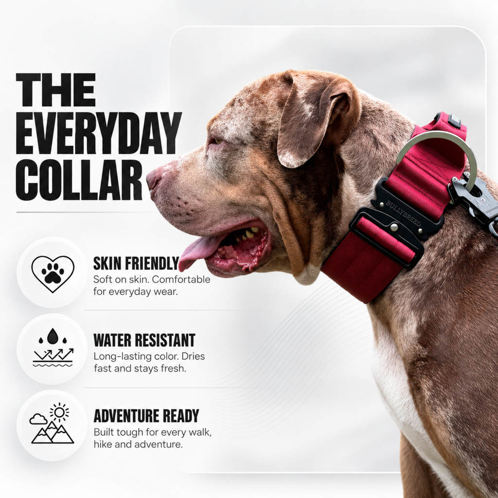 Heavy Duty Dog Collar with Handle | XL TITAN 2.7" (7 cm)