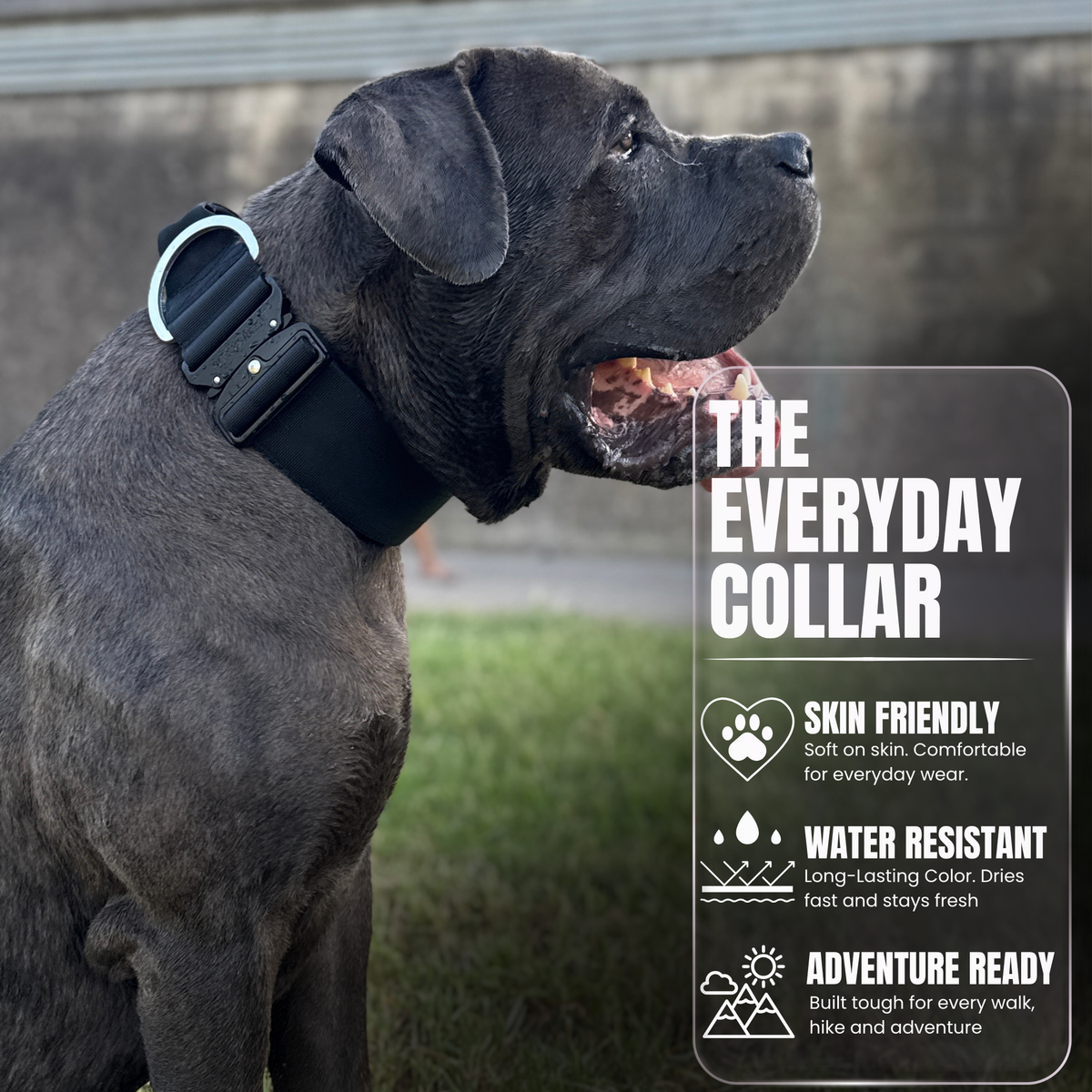 Heavy Duty Dog Collar with Handle | XL TITAN 2.7" (7 cm)