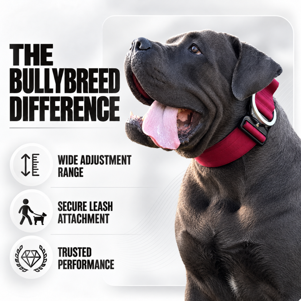 Heavy Duty Dog Collar with Handle | XL TITAN 2.7" (7 cm)