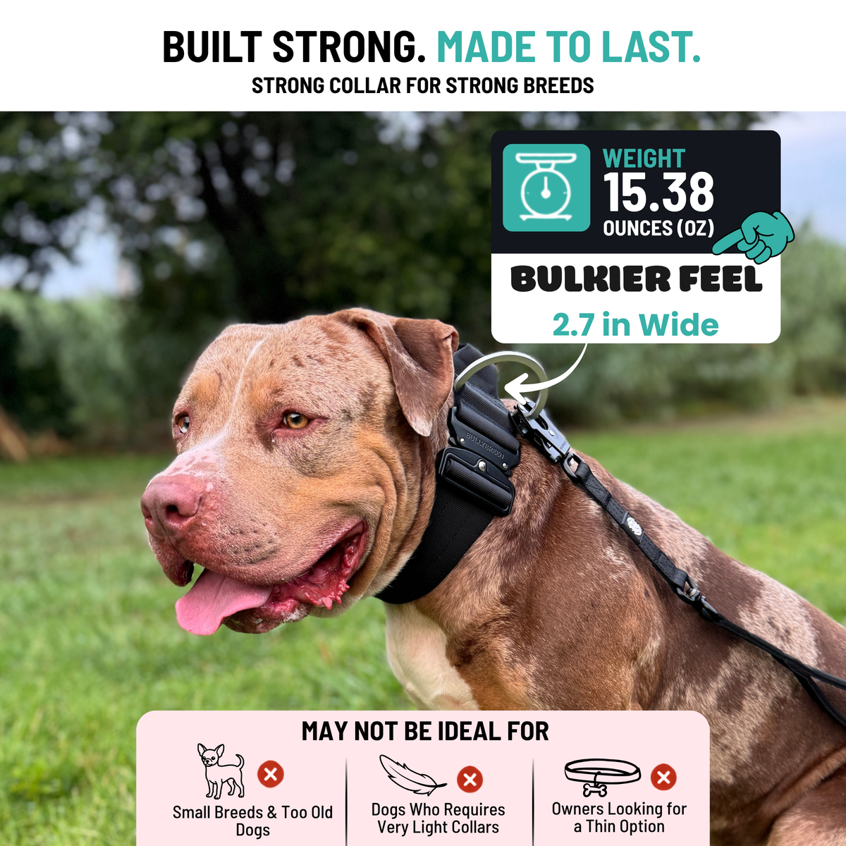 Heavy Duty Dog Collar with Handle | XL TITAN 2.7" (7 cm)