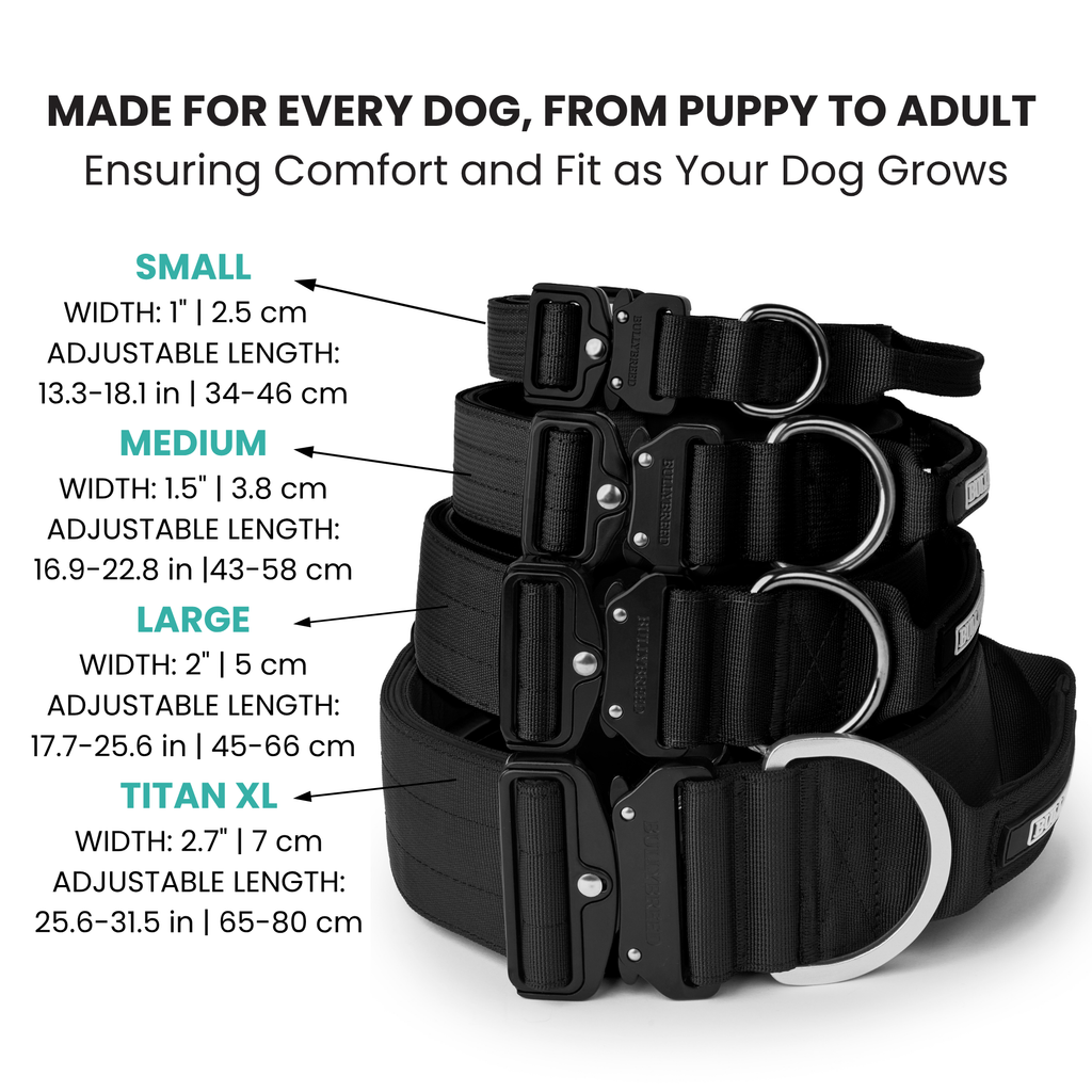 Heavy Duty Dog Collar with Handle | XL TITAN 2.7" (7 cm)