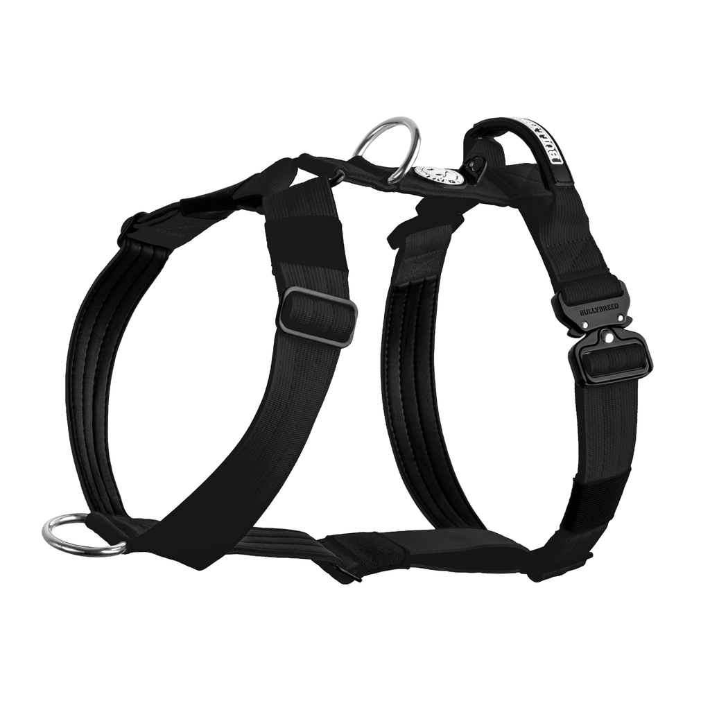 Heavy-Duty Y-Shaped Harness for Strong & Large Dogs