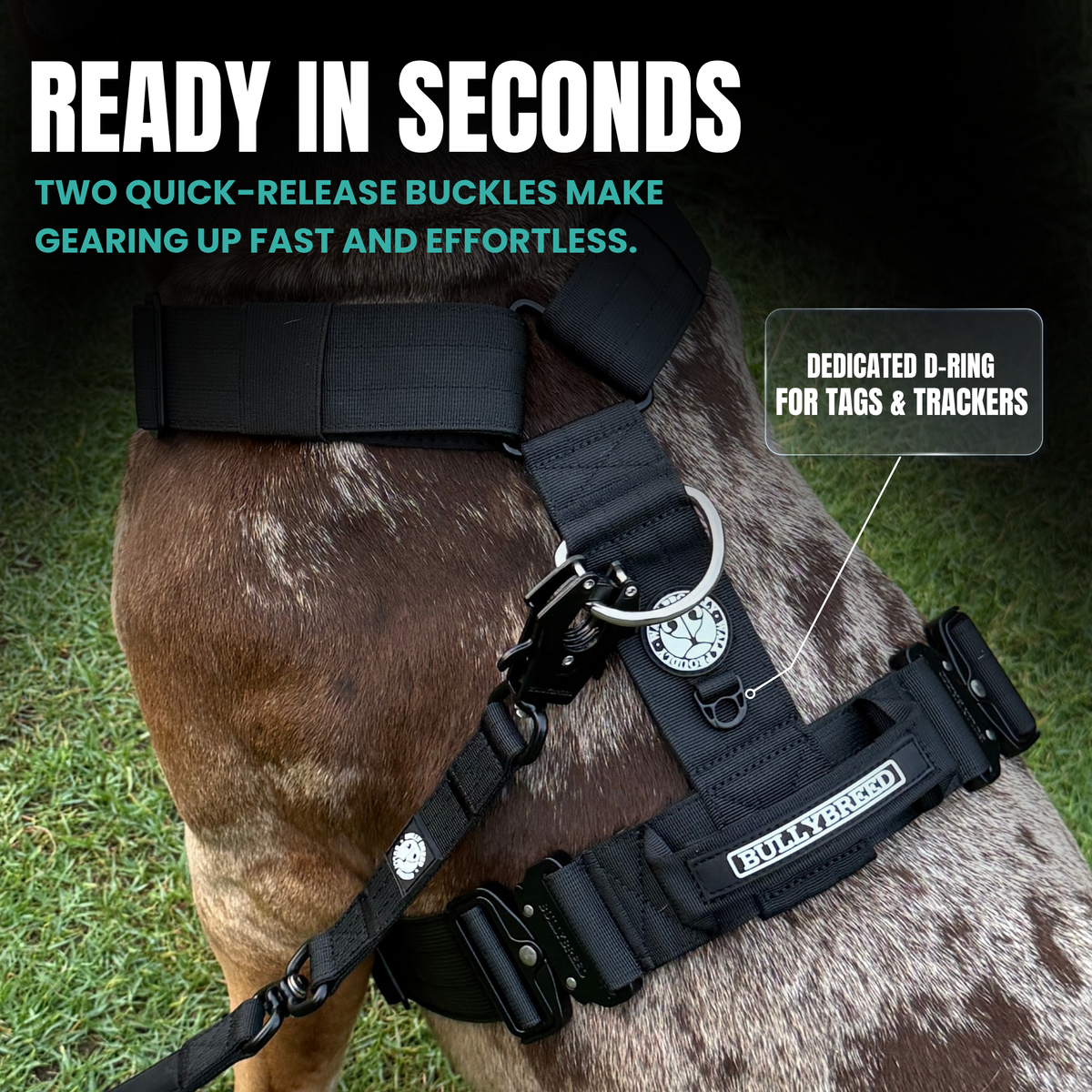 Heavy-Duty Y-Shaped Harness for Strong & Large Dogs