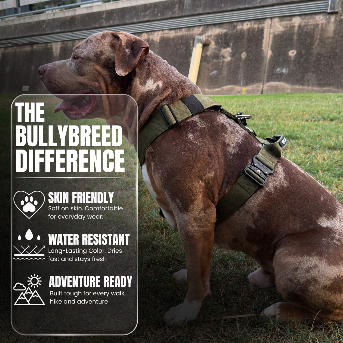 Heavy-Duty Y-Shaped Harness for Strong & Large Dogs