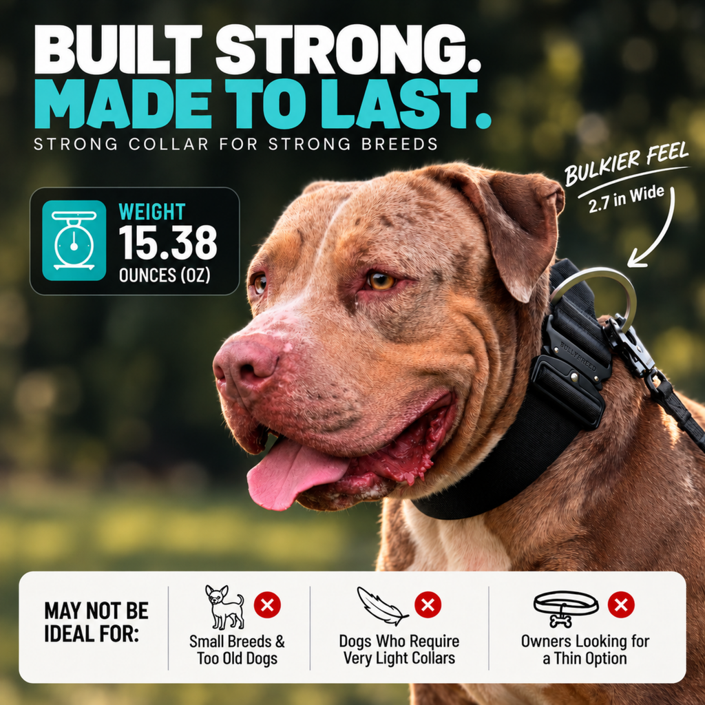 Heavy Duty Dog Collar with Handle | XL TITAN 2.7" (7 cm)