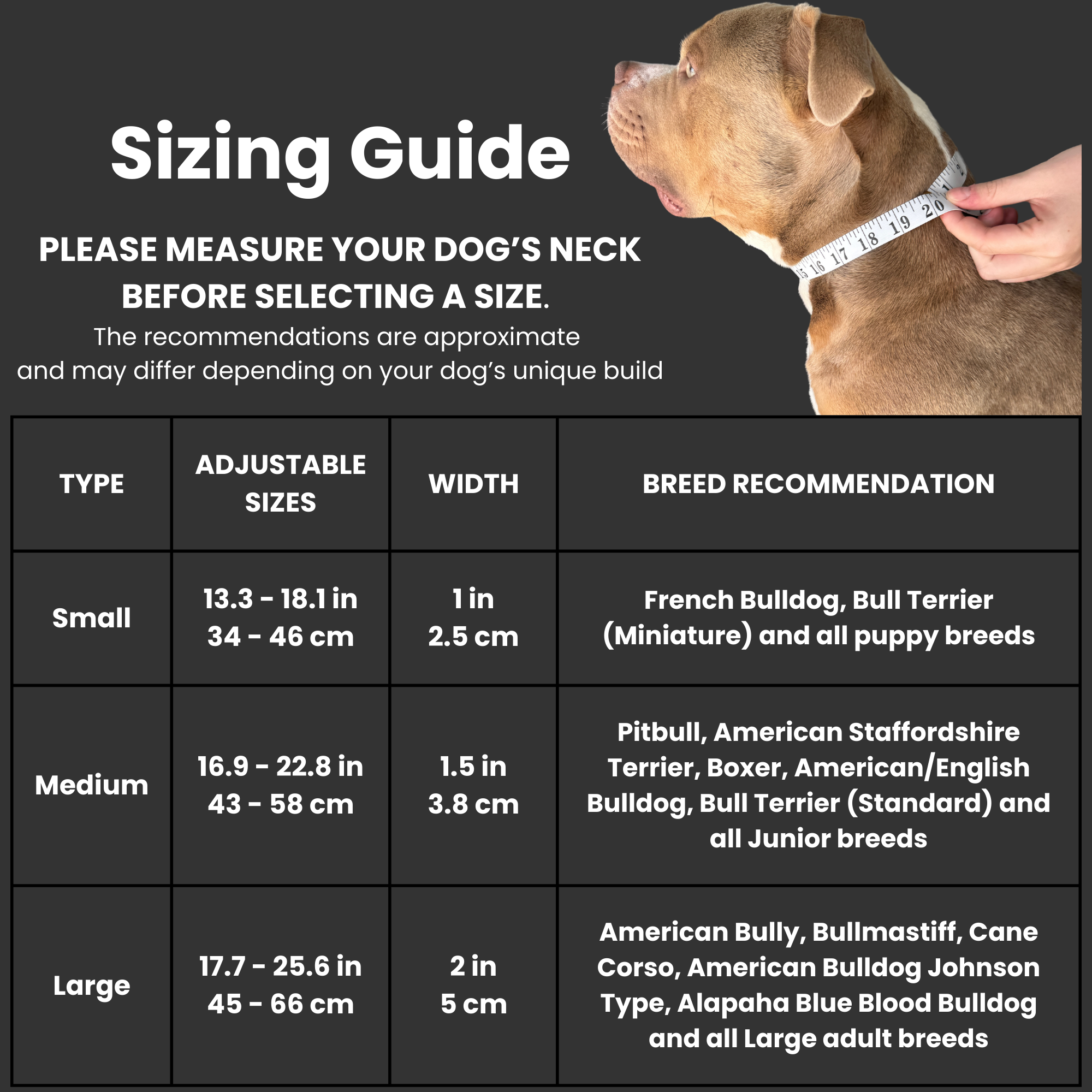 Dog collar size guide