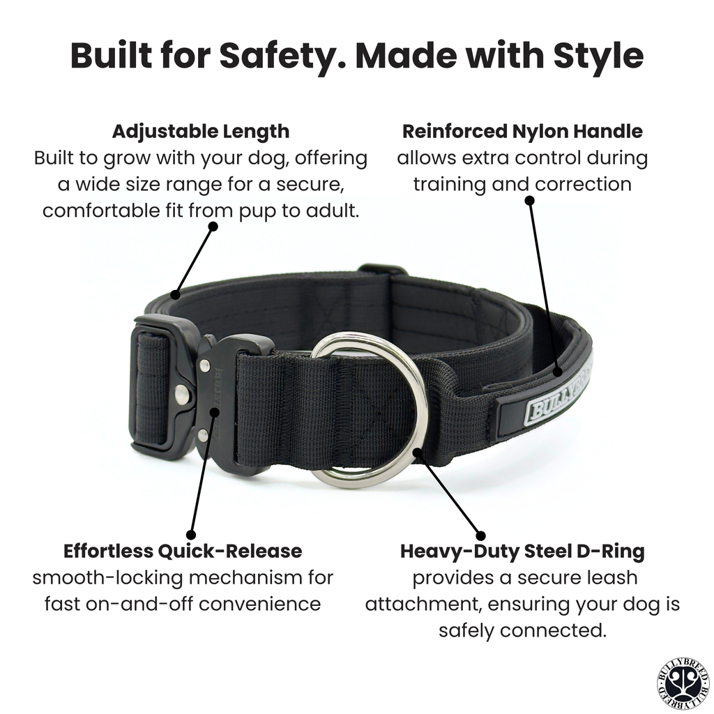 Tactical dog collar with handle for pitbulls