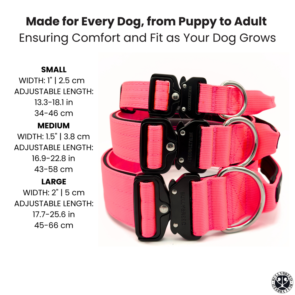 Hot pink dog collar for all size dogs