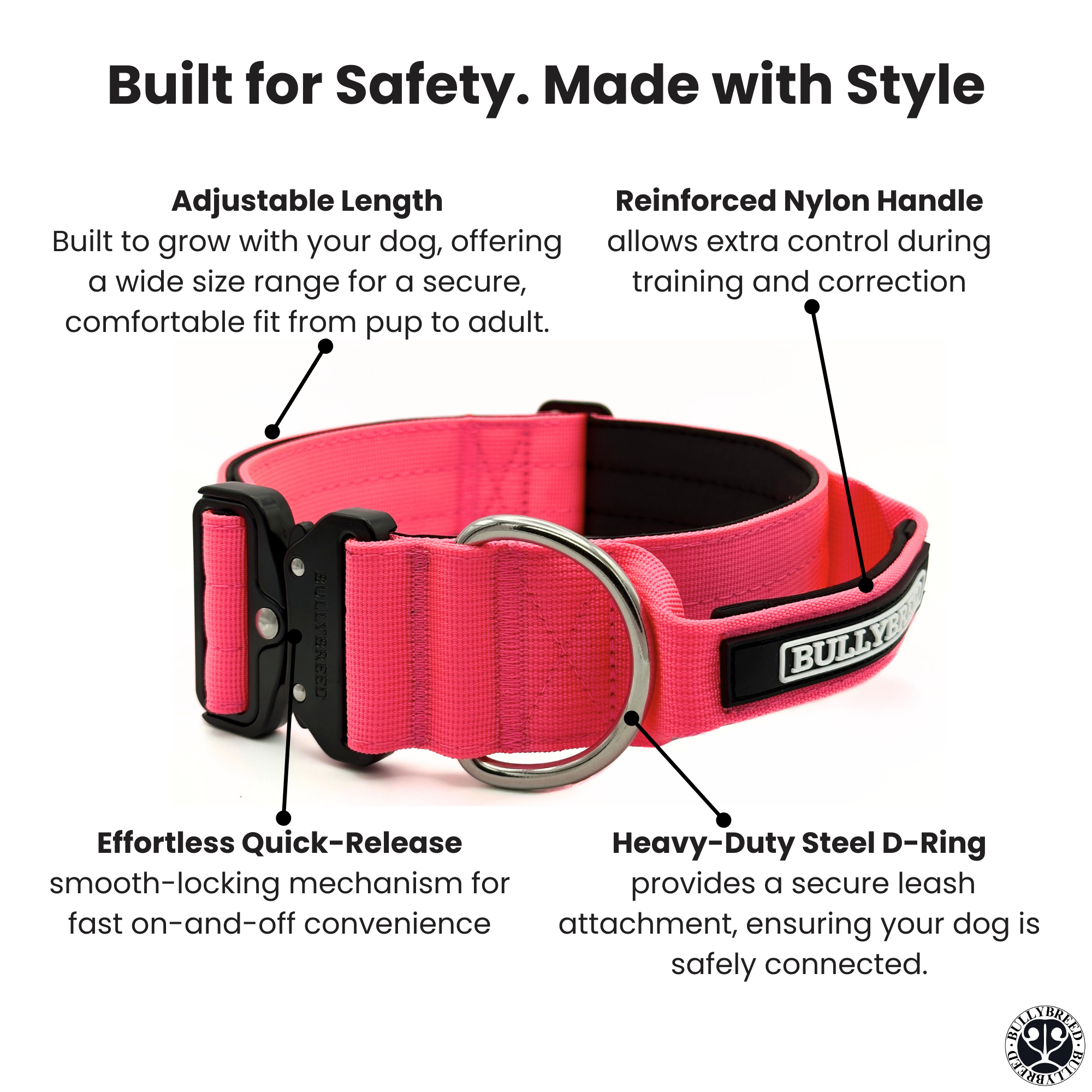 Pink dog collar with features highlighted