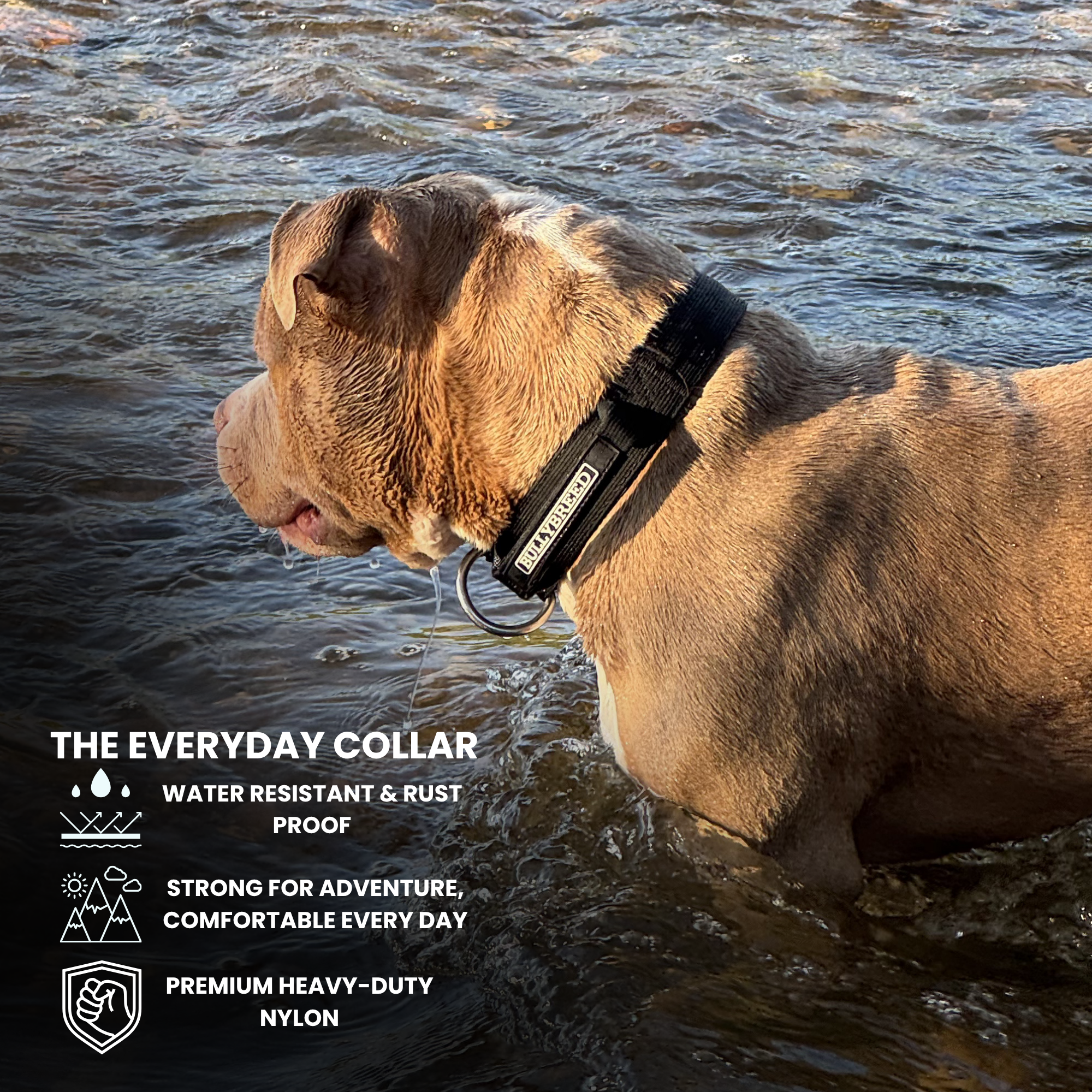 Water proof dog collar