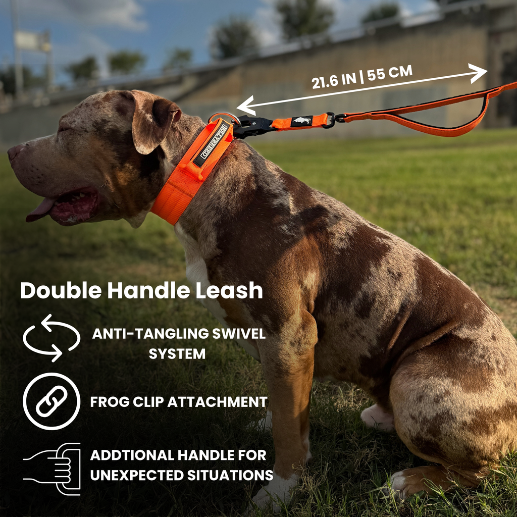 Double Handle Dog Leash 5 FT