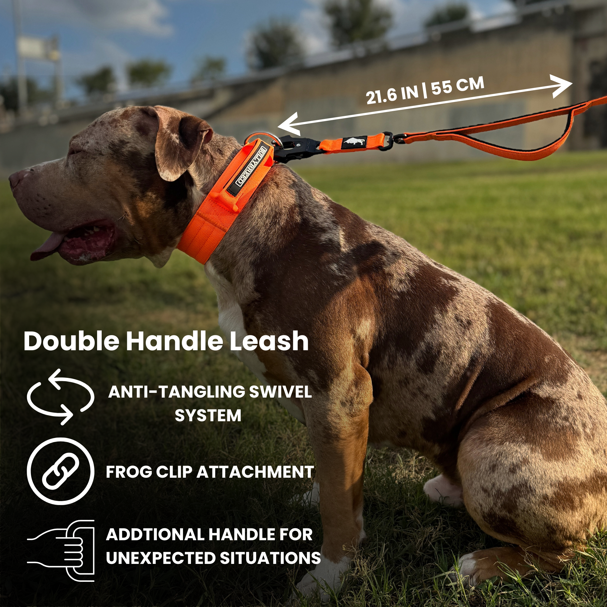 Double Handle Dog Leash 5 FT