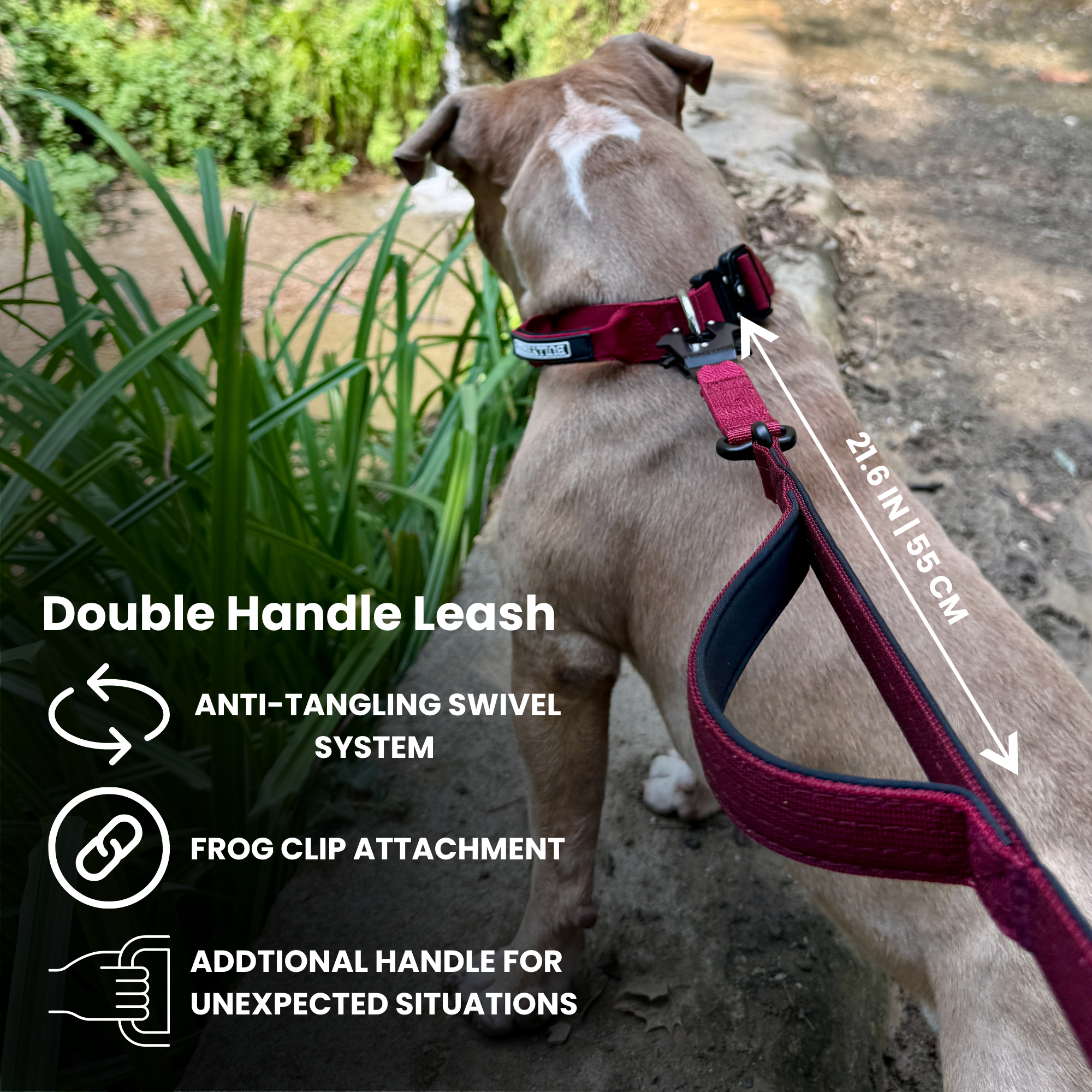 Double Handle Dog Leash 5 FT - Maroon Red