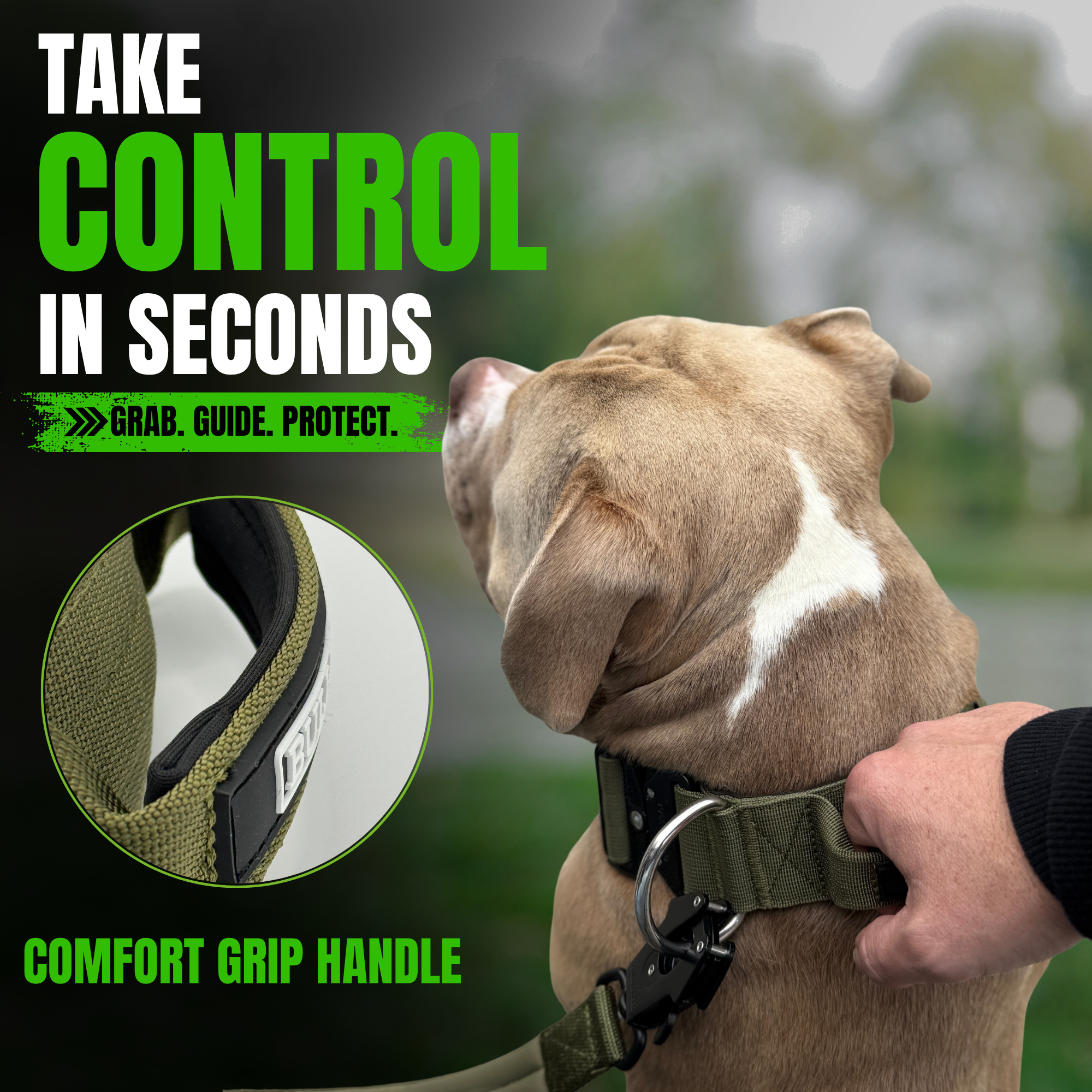 Dog collar with handle