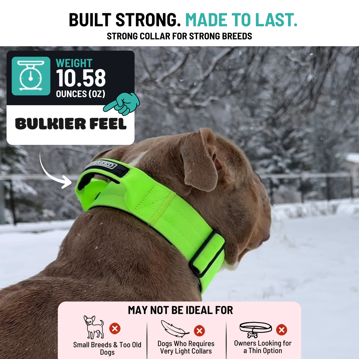 Heavy Duty Dog Collar with Handle | Large 2" (5 cm)