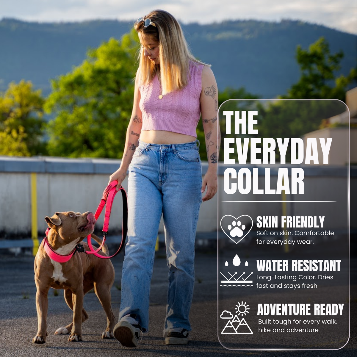 Heavy Duty Dog Collar with Handle | Large 2" (5 cm)