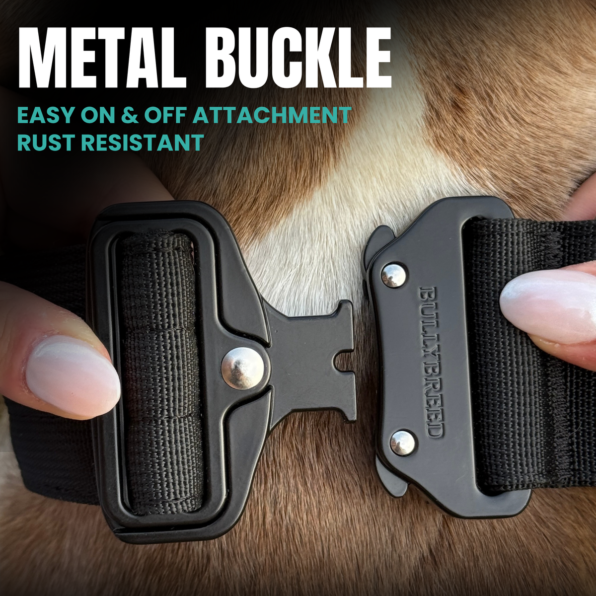 Heavy Duty Dog Collar with Handle | Medium 1.5" (3.8 cm)