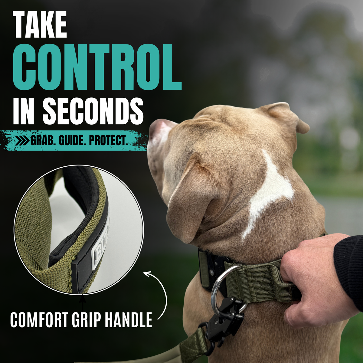Heavy Duty Dog Collar with Handle | Small 1" (2.5 cm)
