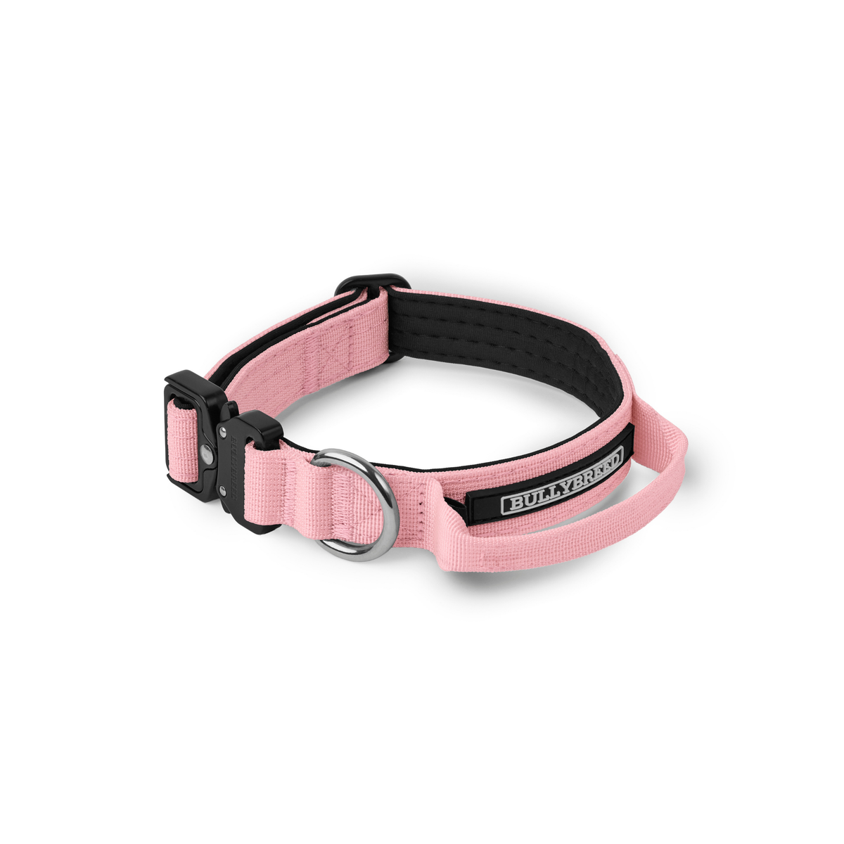 Heavy Duty Dog Collar with Handle | Small 1" (2.5 cm)