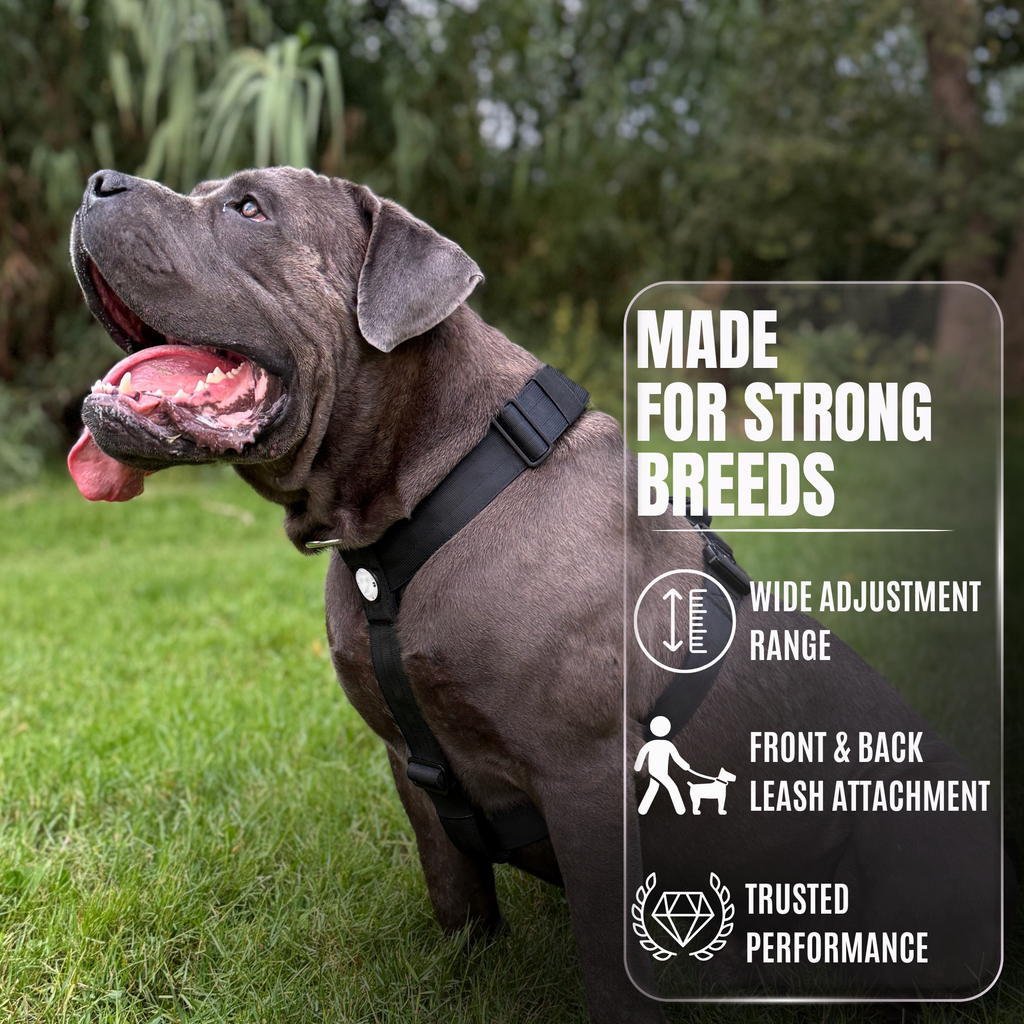 Heavy-Duty Y-Shaped Harness for Strong & Large Dogs
