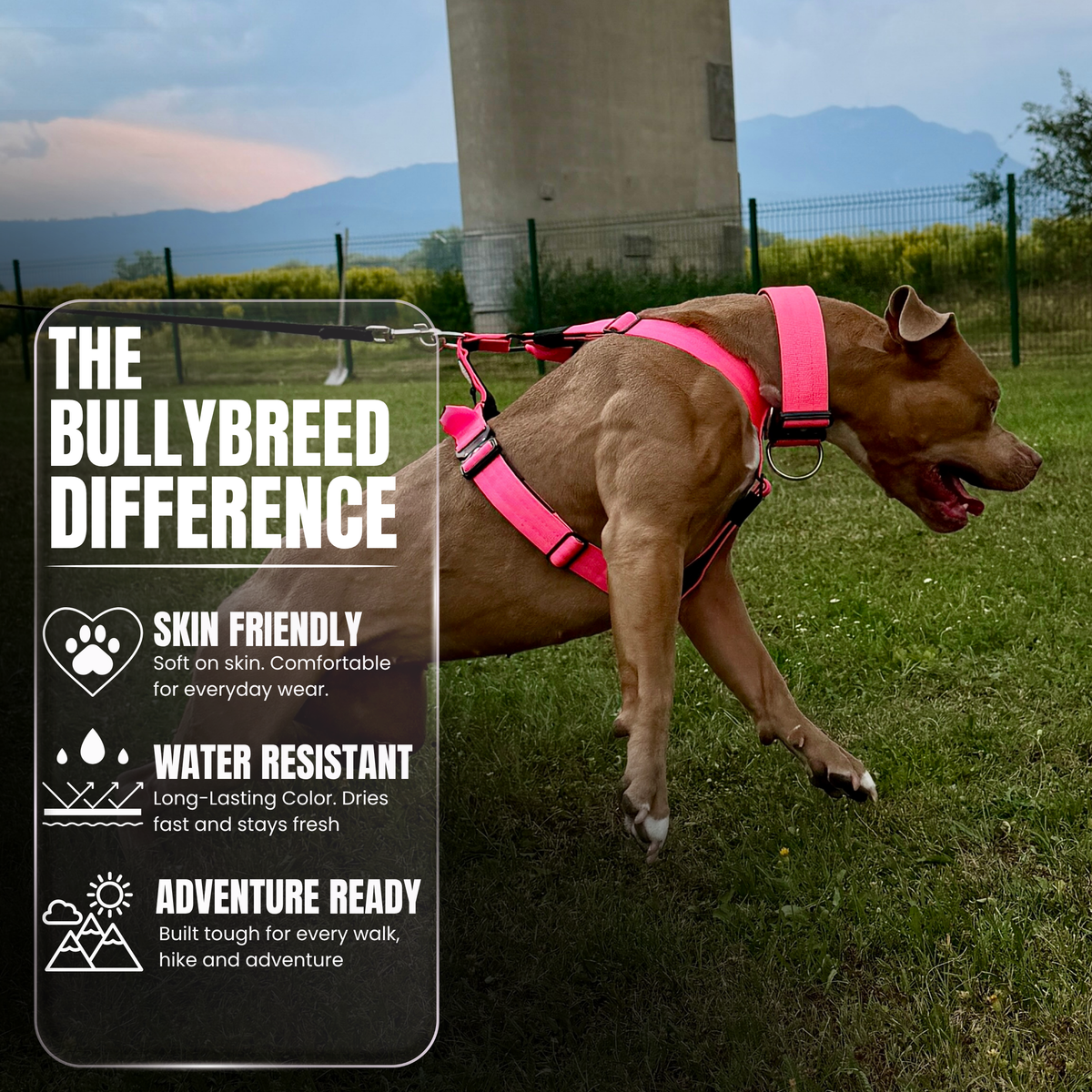 Heavy-Duty Y-Shaped Harness for Strong & Large Dogs