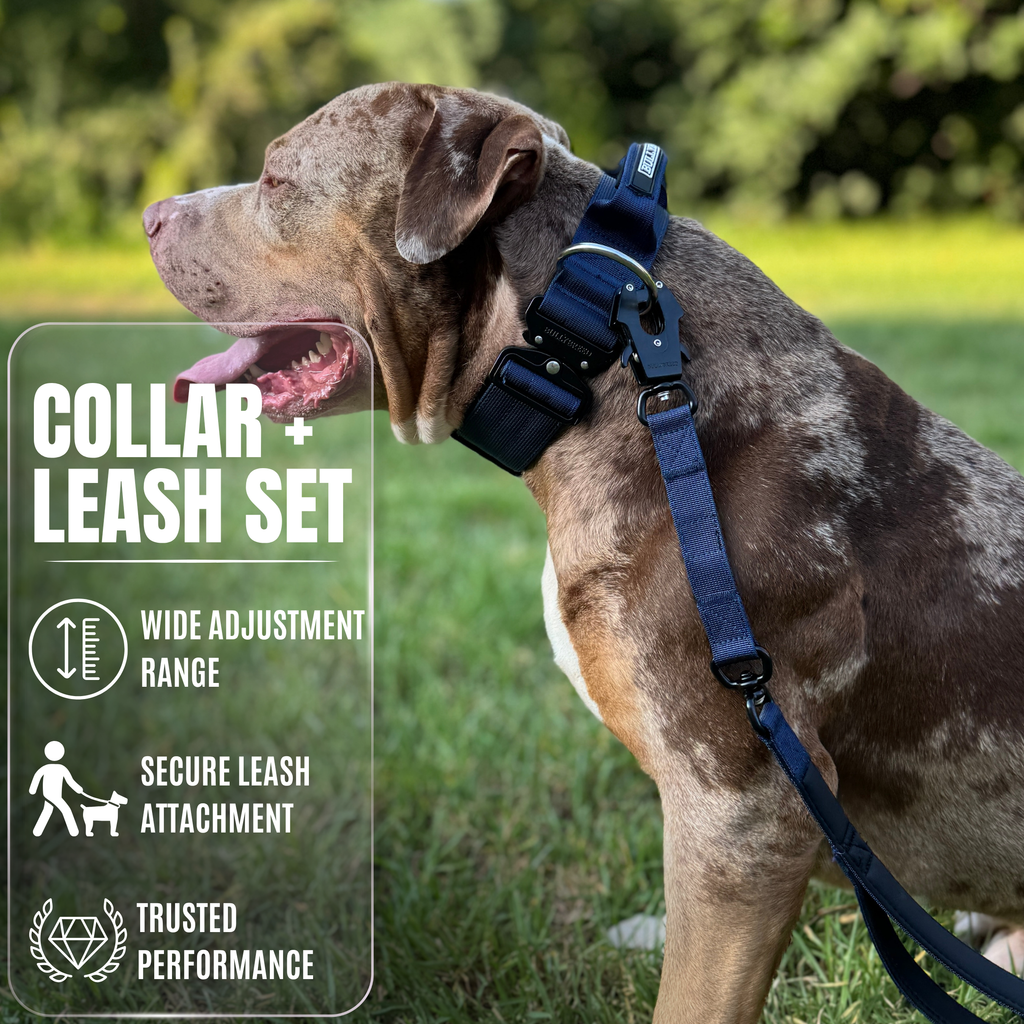 Heavy duty dog collar and double handle leash set