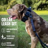 Heavy duty dog collar and double handle leash set