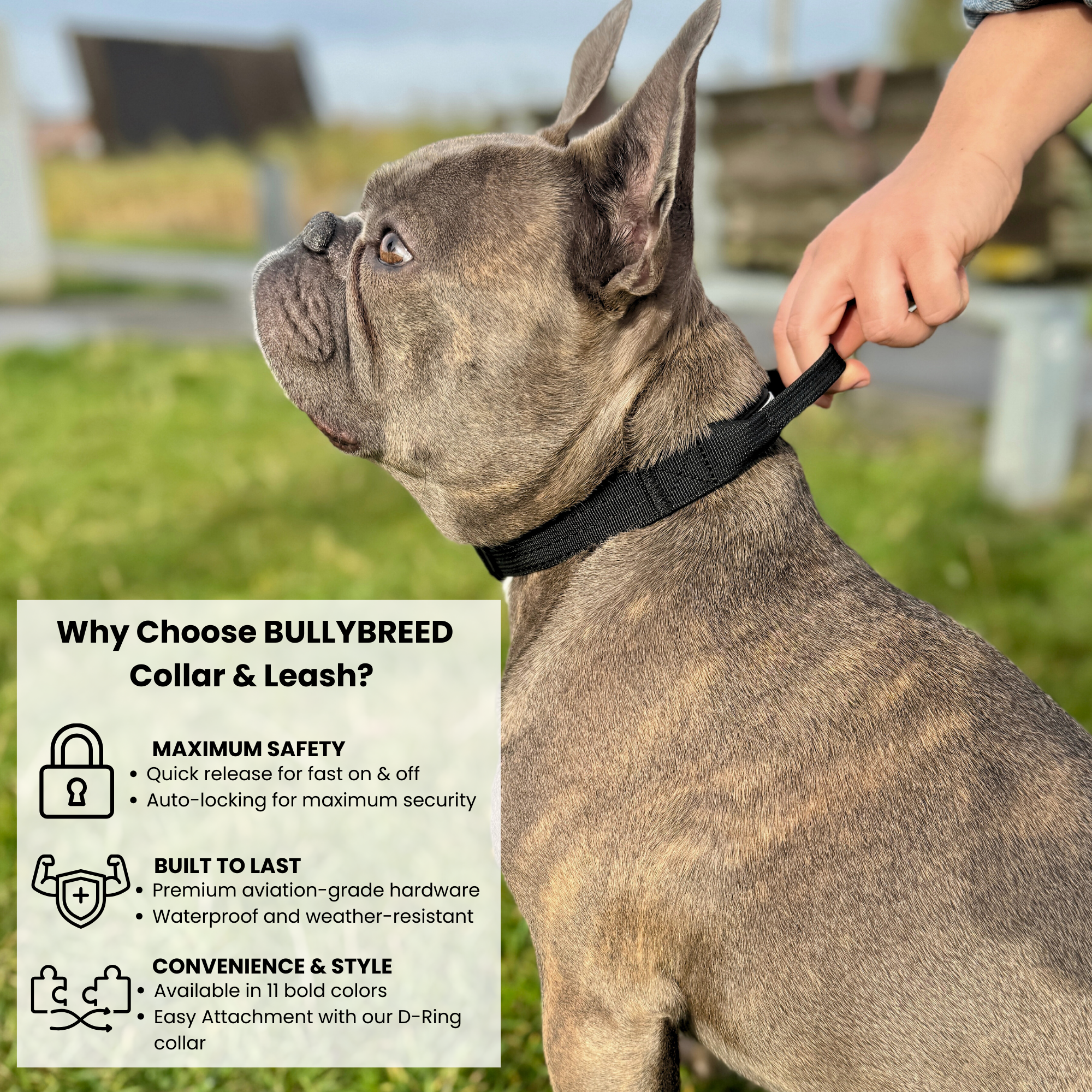 heavy duty dog collar for puppies