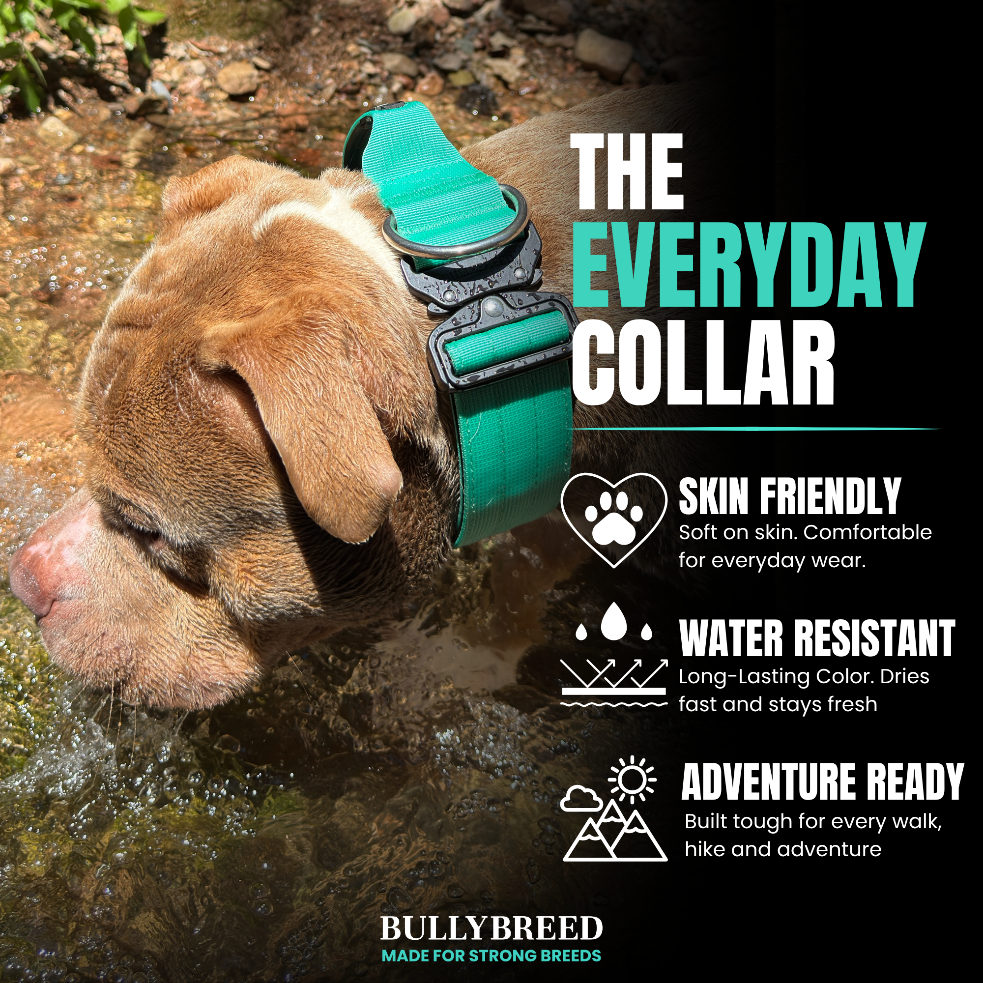 Weatherproof dog collar