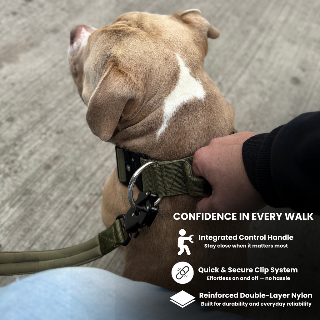 Tactical Collar with Handle