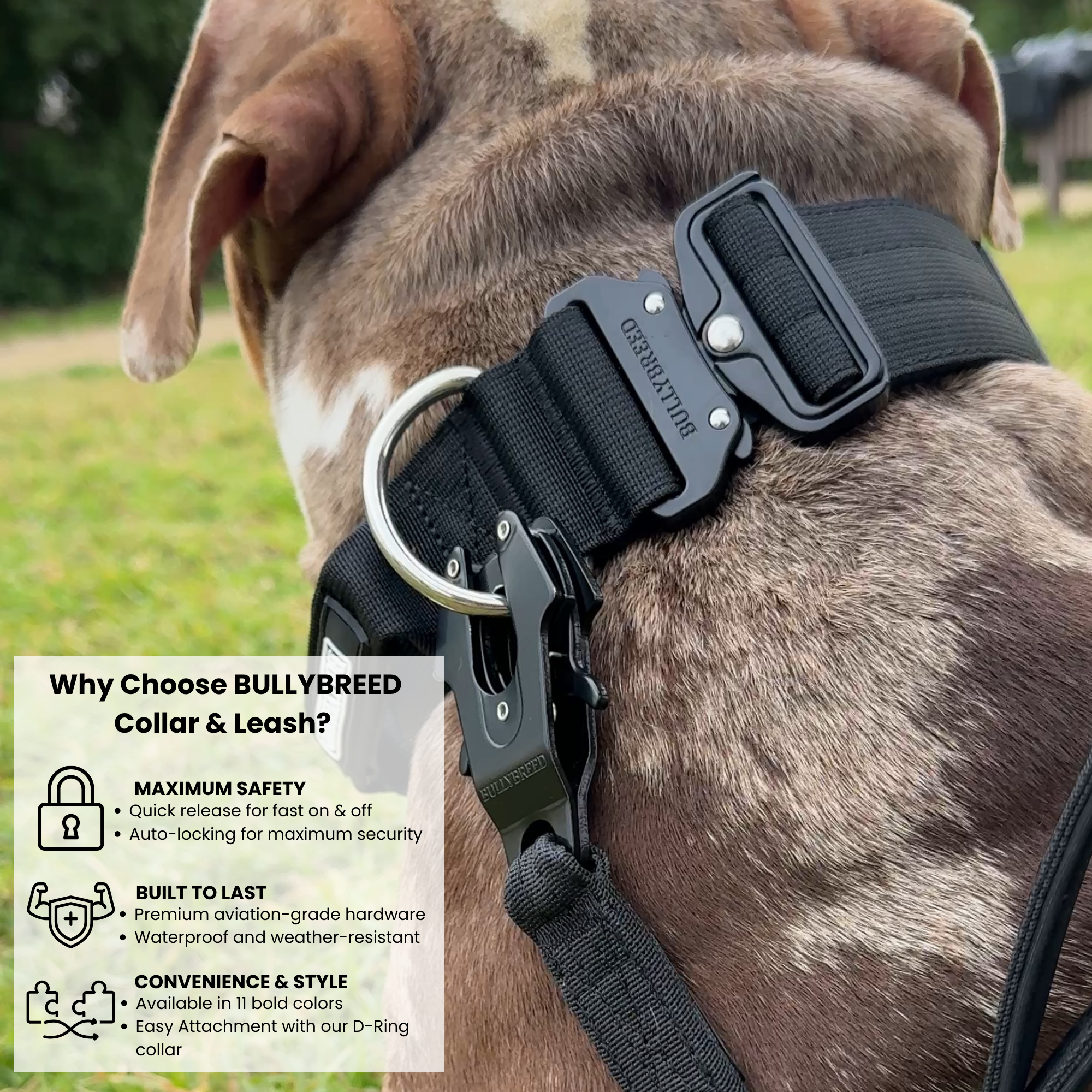Tactical Collar with Handle
