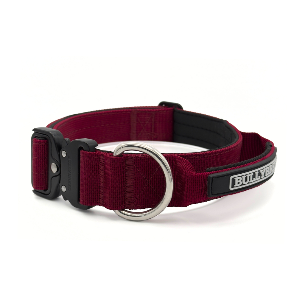 Red dog collar for bully breed