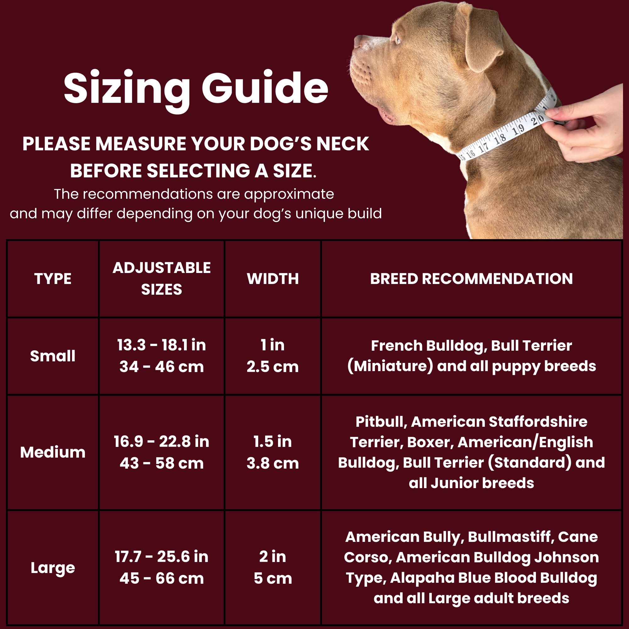 Dog collar size guide