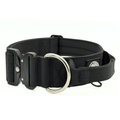 Premium Dog Collar | New Logo & Accessory D-Ring
