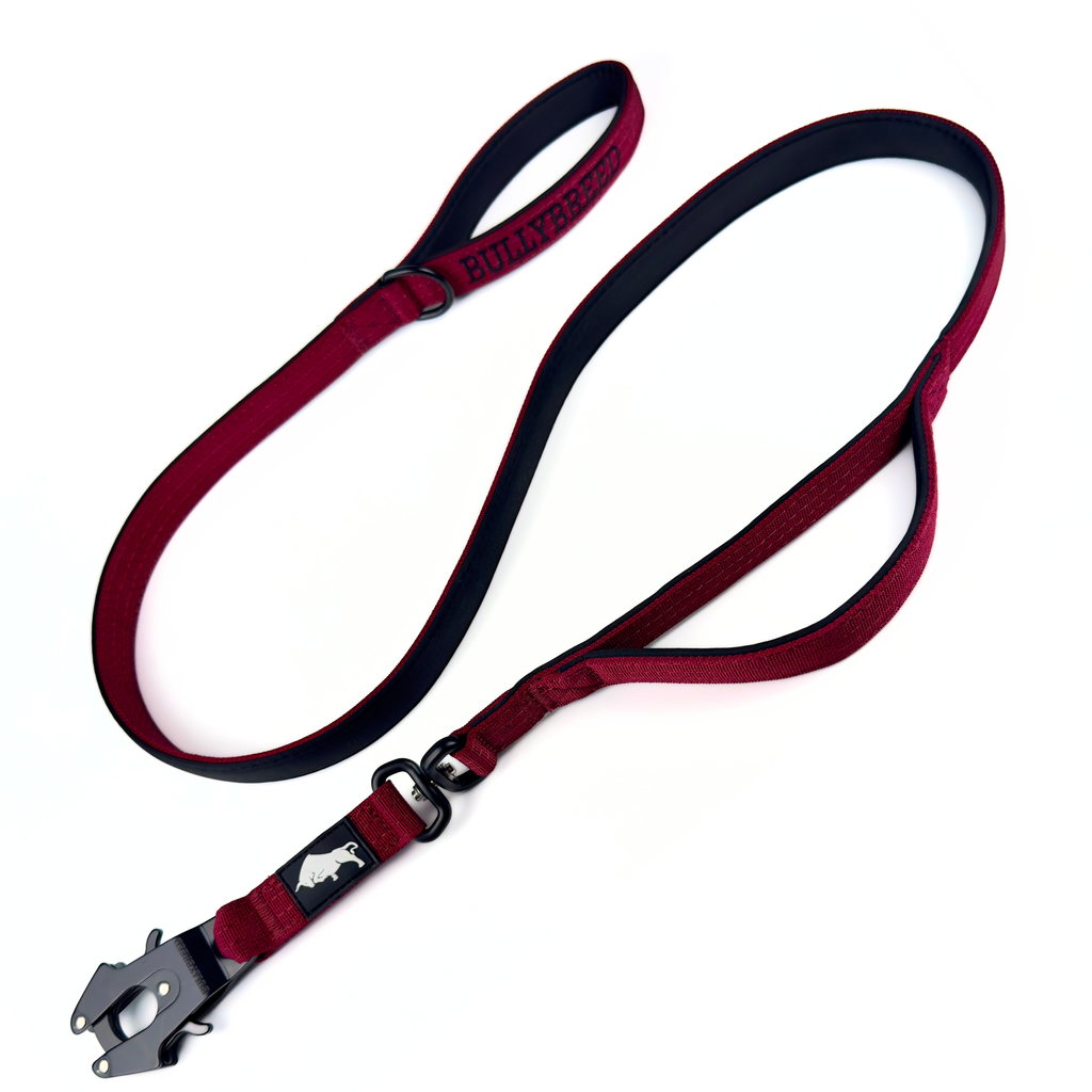 Red tactical dog leash with double handle