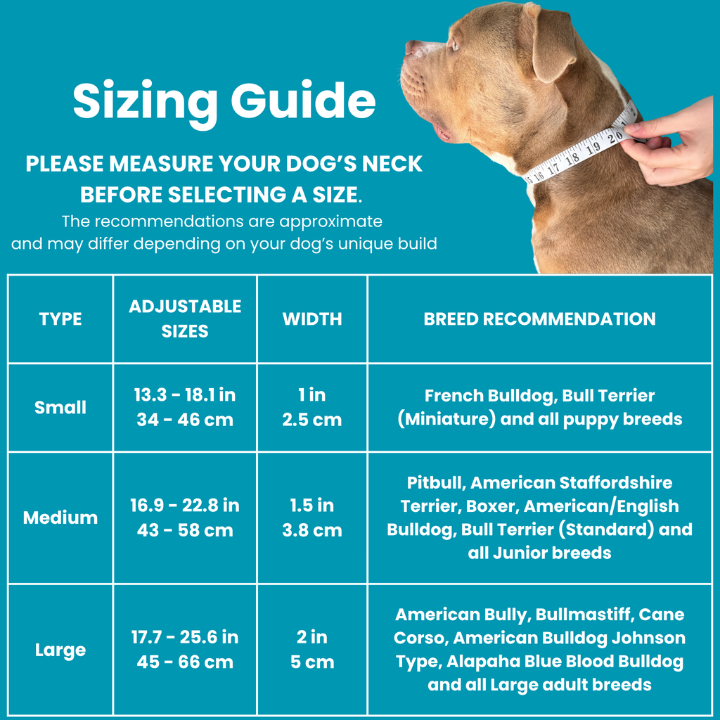 All stage dog collars