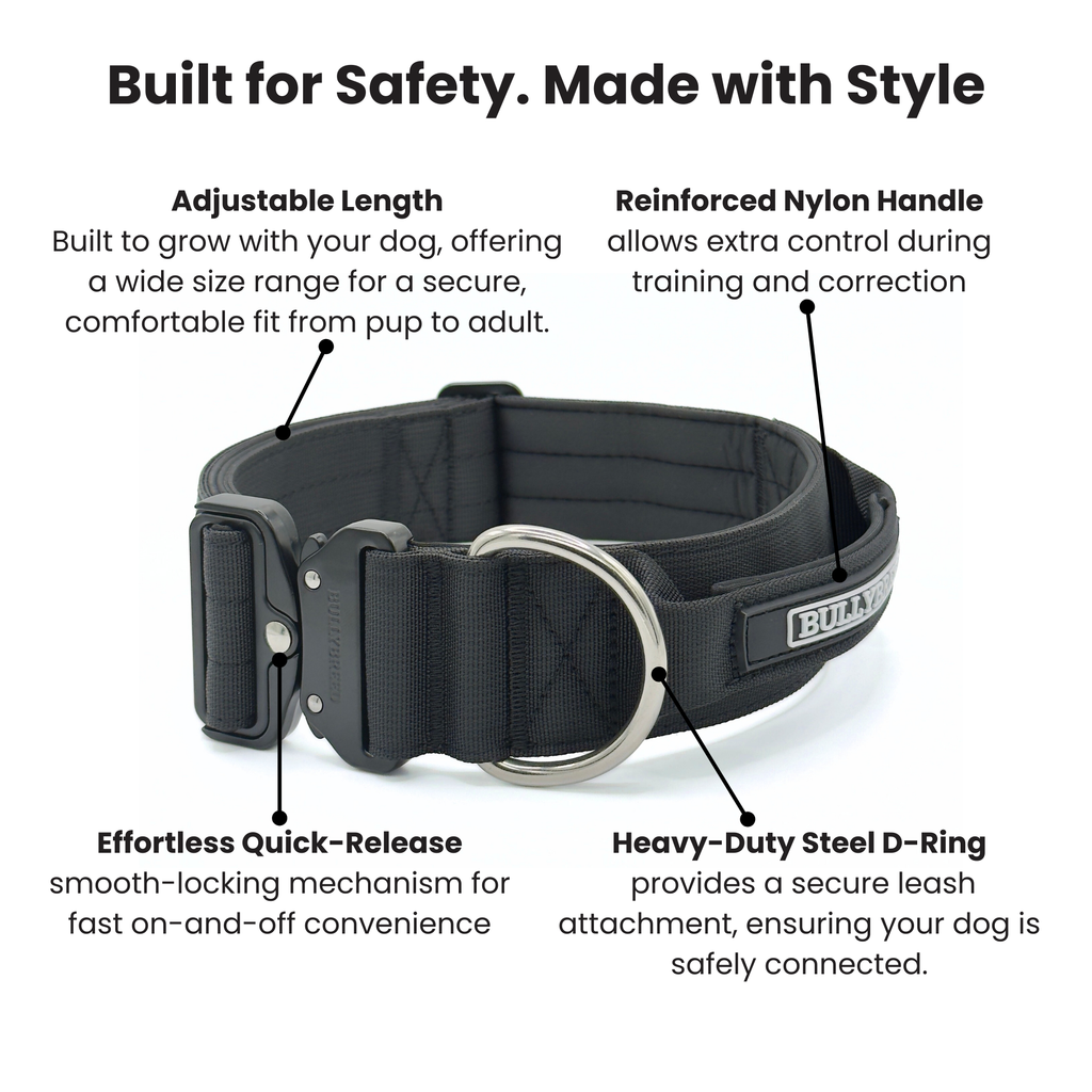 Tactical dog collar for cane corso