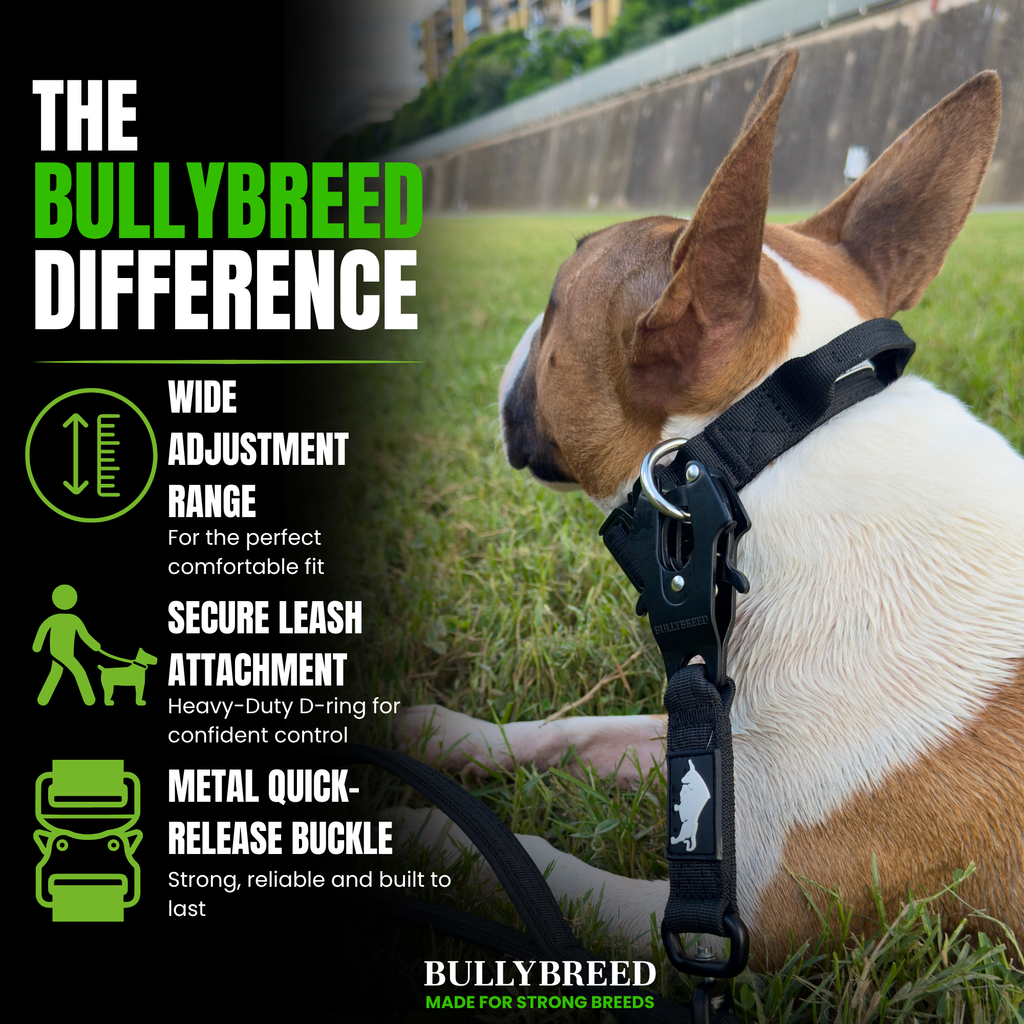 Dog collar for puppies
