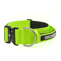 Large dog collar neon green