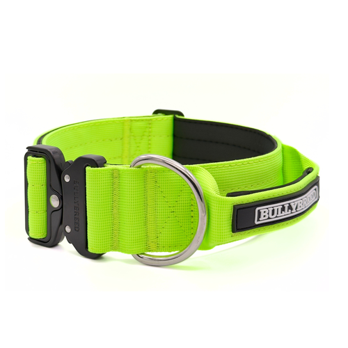 Large dog collar neon green