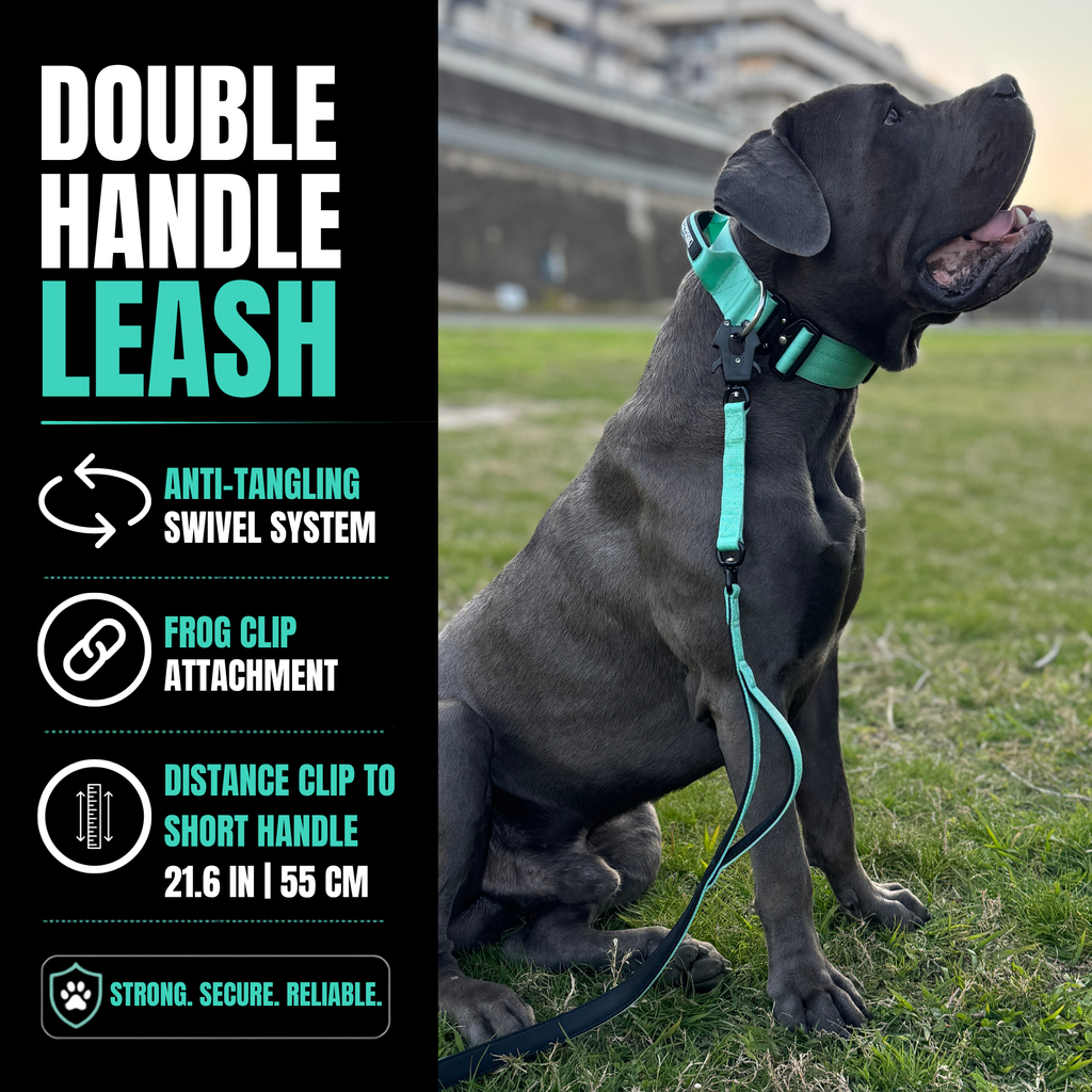 Strong dog leash 