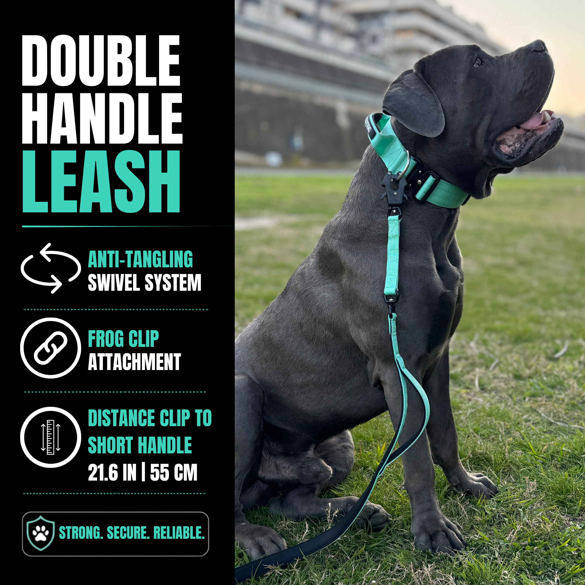 Strong dog leash 