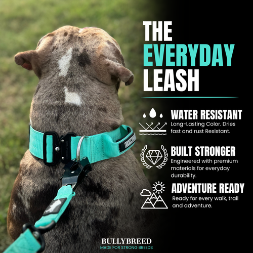 Heavy duty dog leash