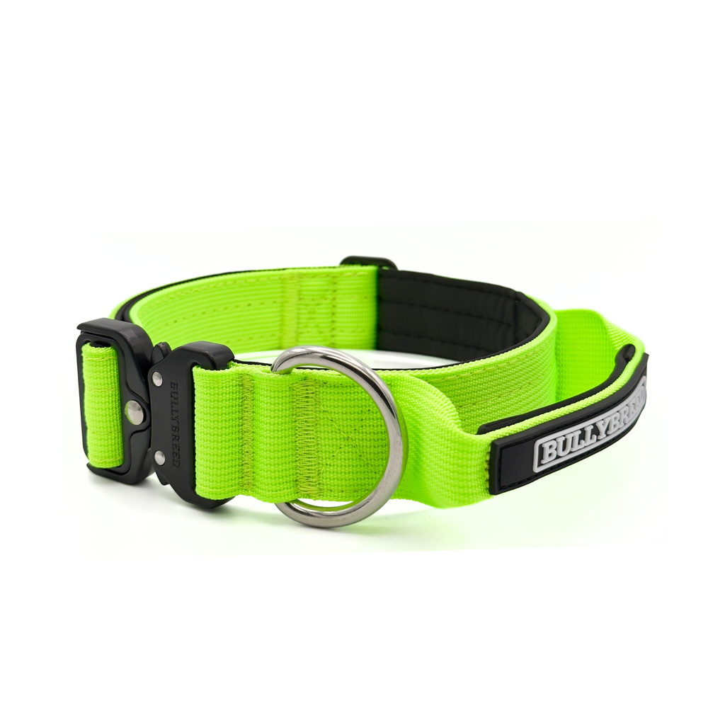 Medium dog collar neon green