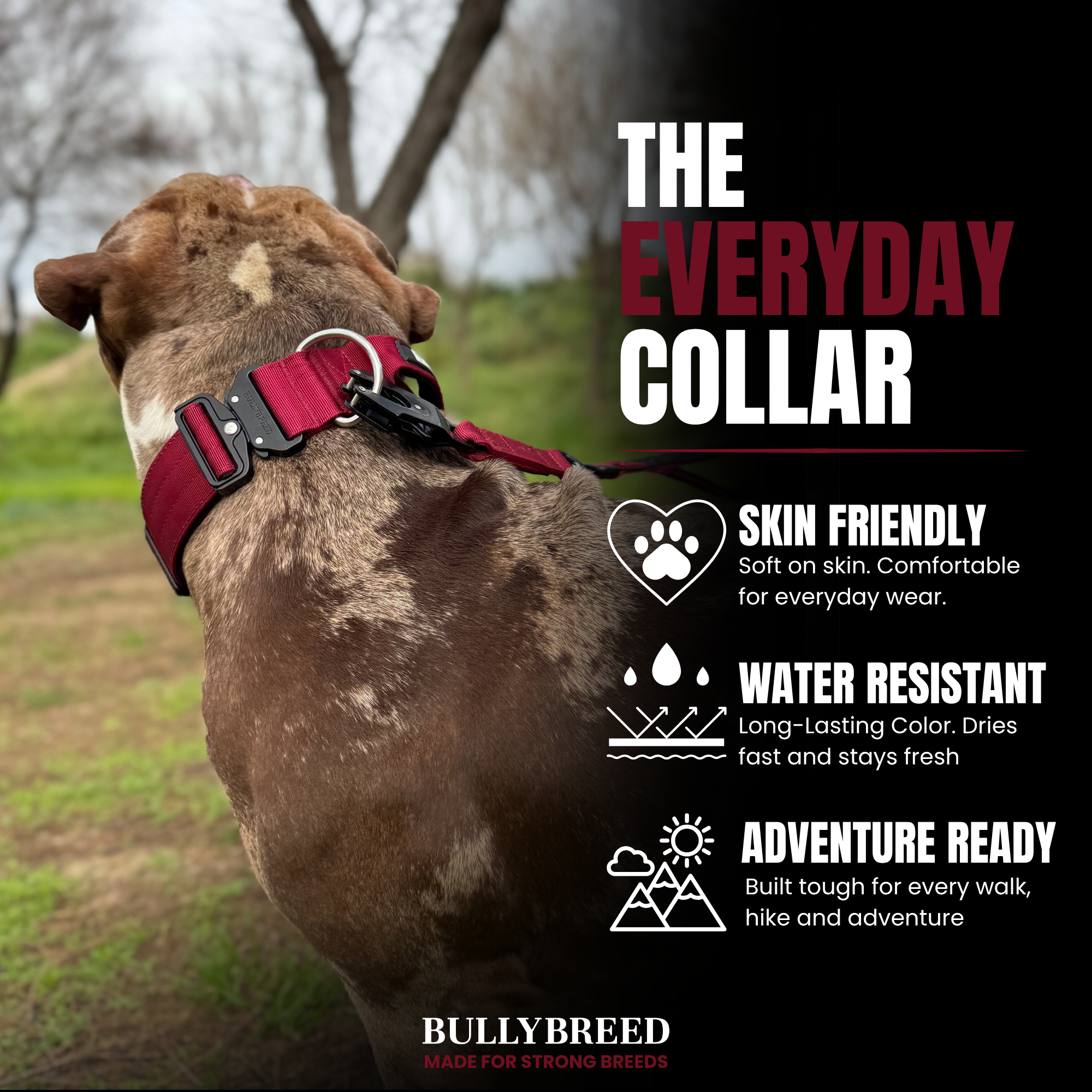 The everyday collar