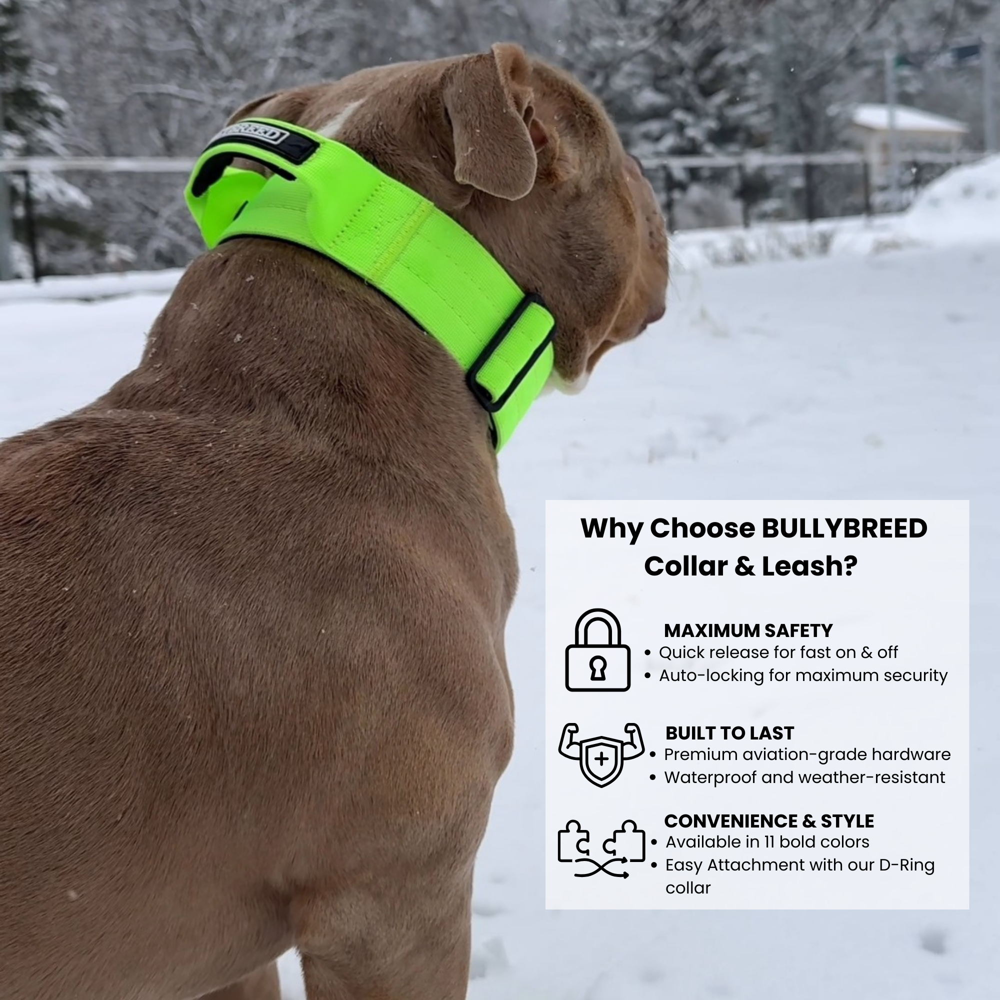 Waterproof neon green dog collar 