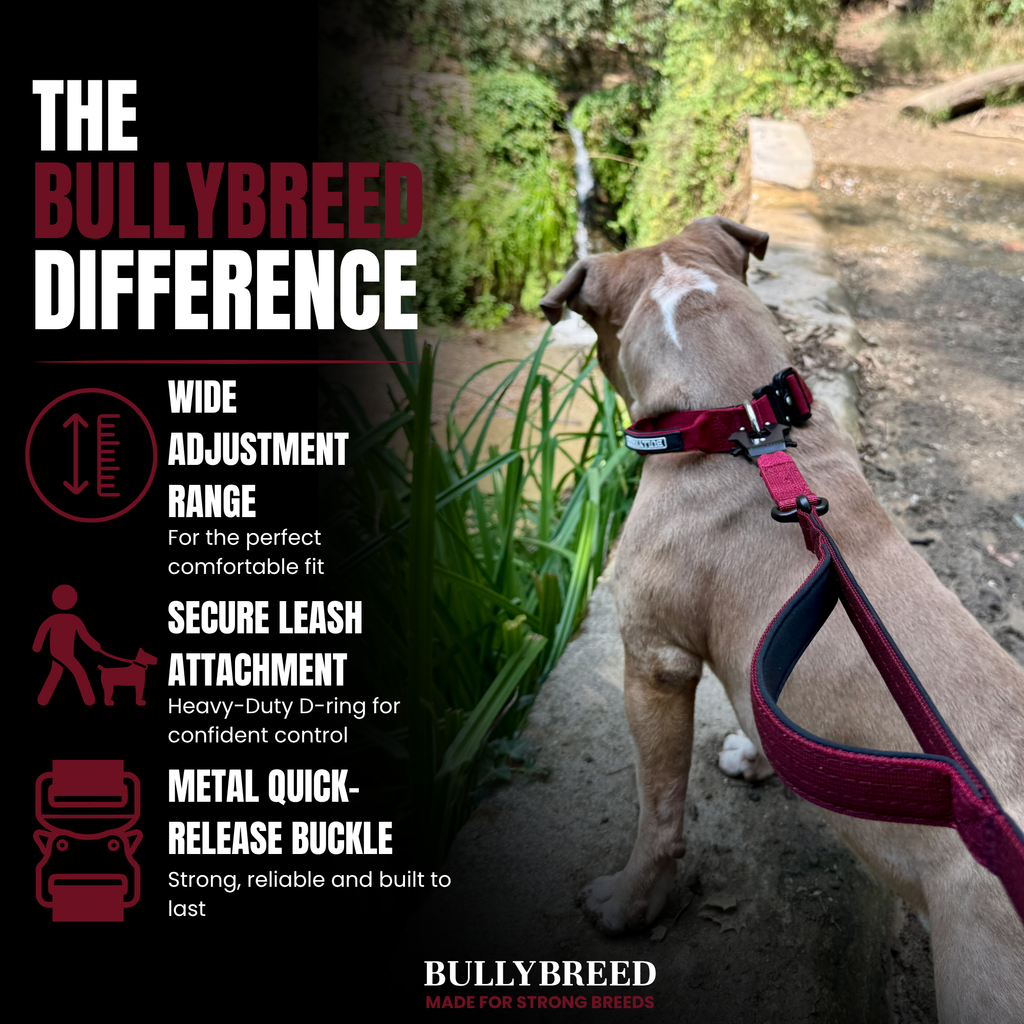 Dog collar for strong dogs