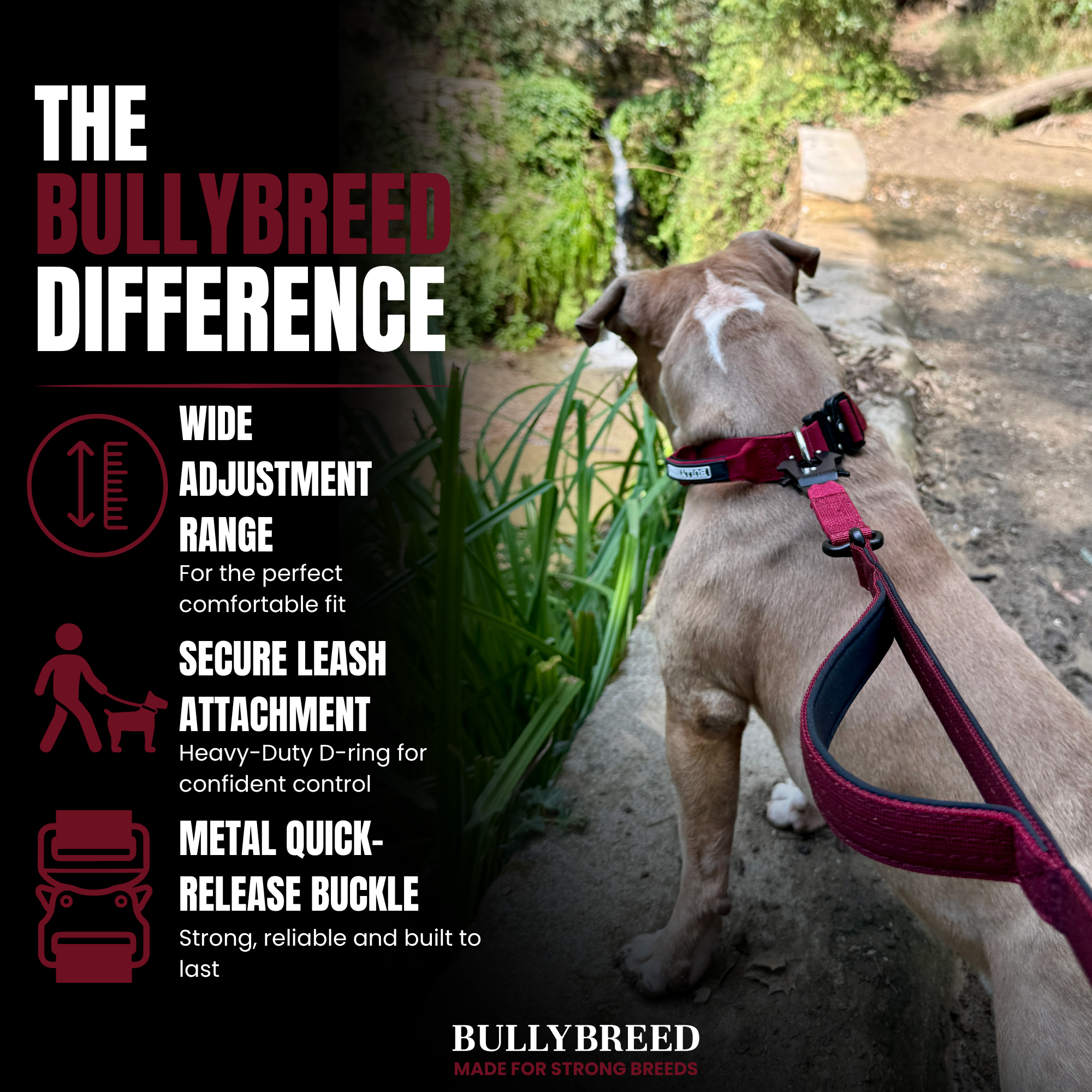 Dog collar for strong dogs